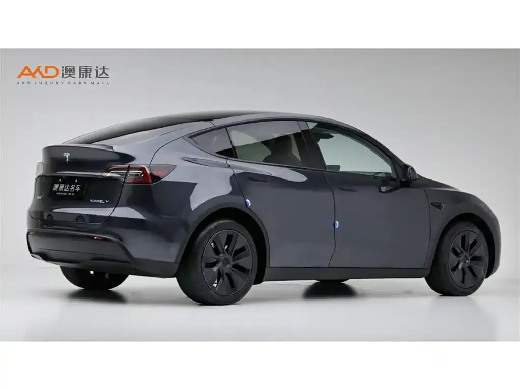 Tesla Model Y — фото 6