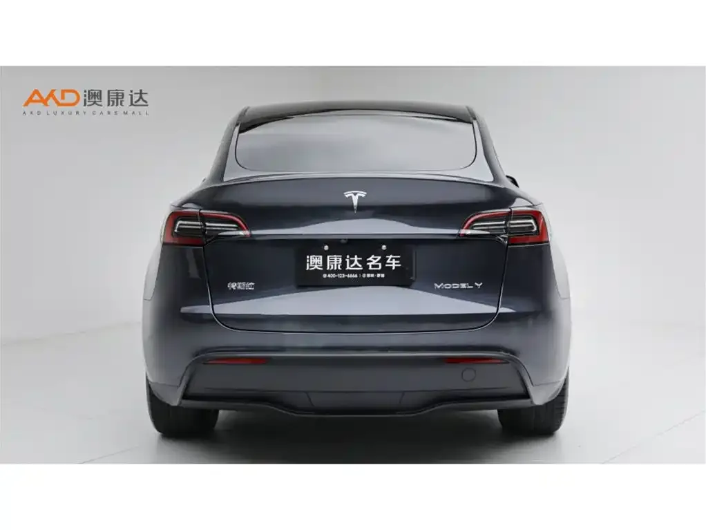 Tesla Model Y — фото 3