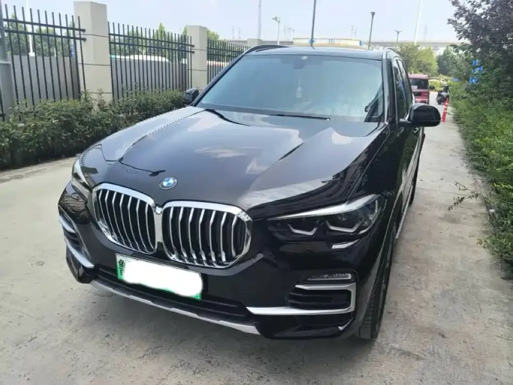 BMW X5 New Energy (Import) — фото 1