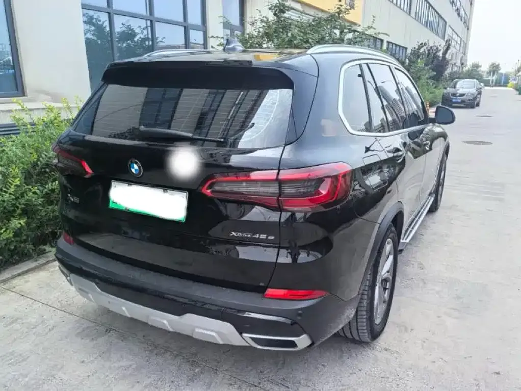 BMW X5 New Energy (Import) — фото 9