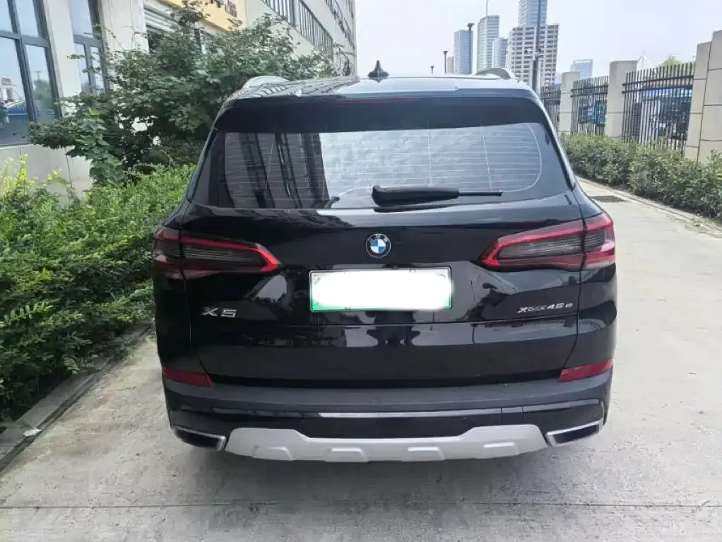BMW X5 New Energy (Import) — фото 7
