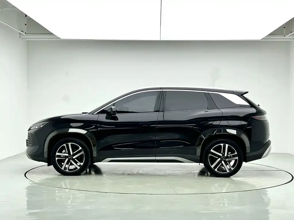 BYD L DM-i — фото 2
