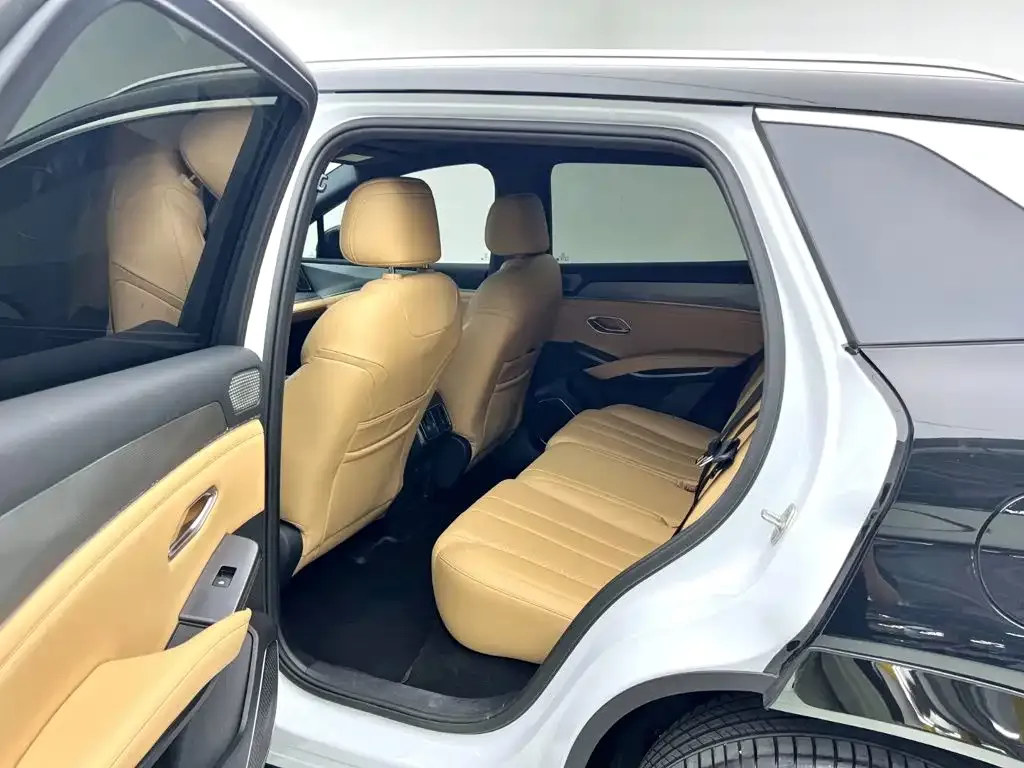 BYD L DM-i — фото 10