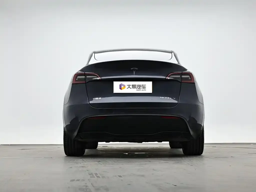 Tesla Model Y — фото 10