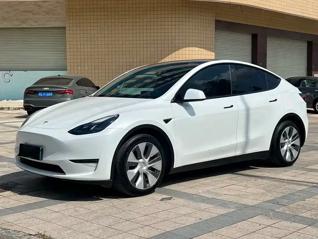 Tesla Model Y — фото 1