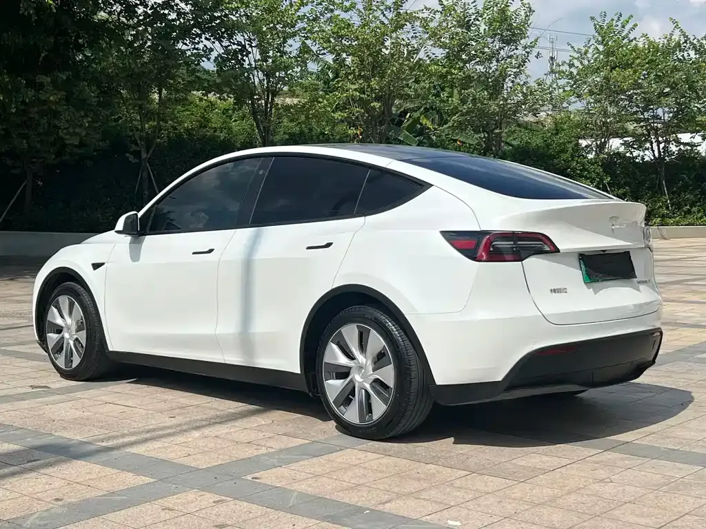 Tesla Model Y — фото 9
