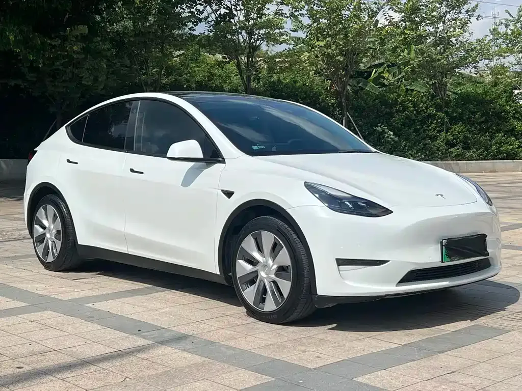 Tesla Model Y — фото 10