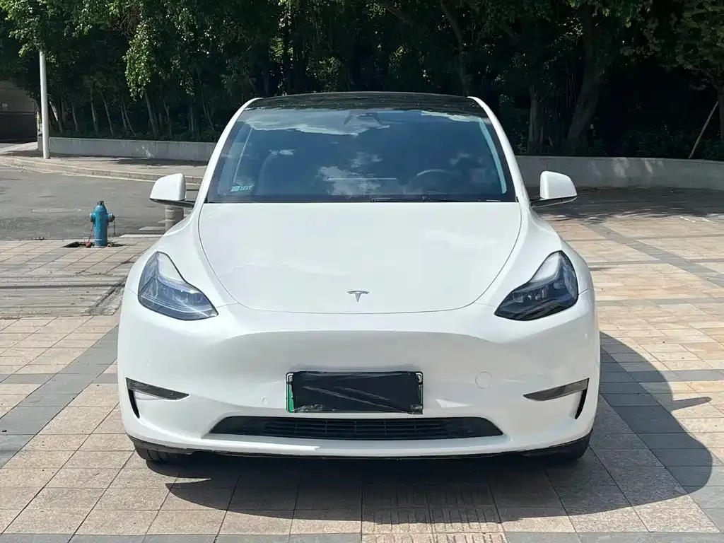 Tesla Model Y — фото 8