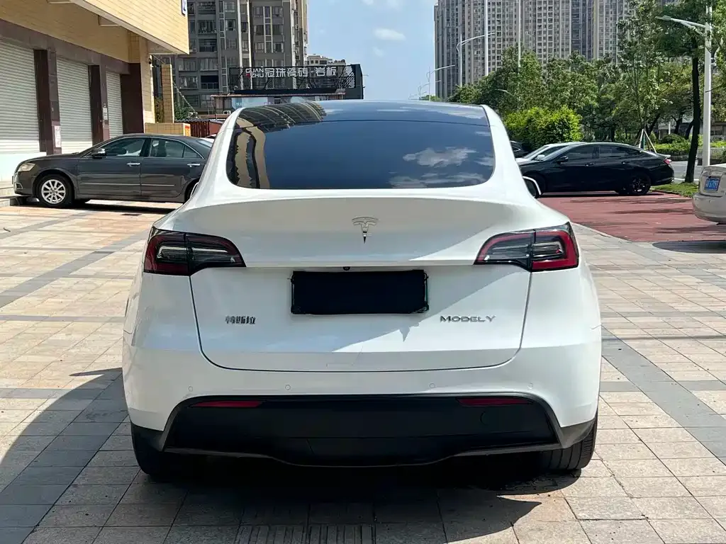 Tesla Model Y — фото 6
