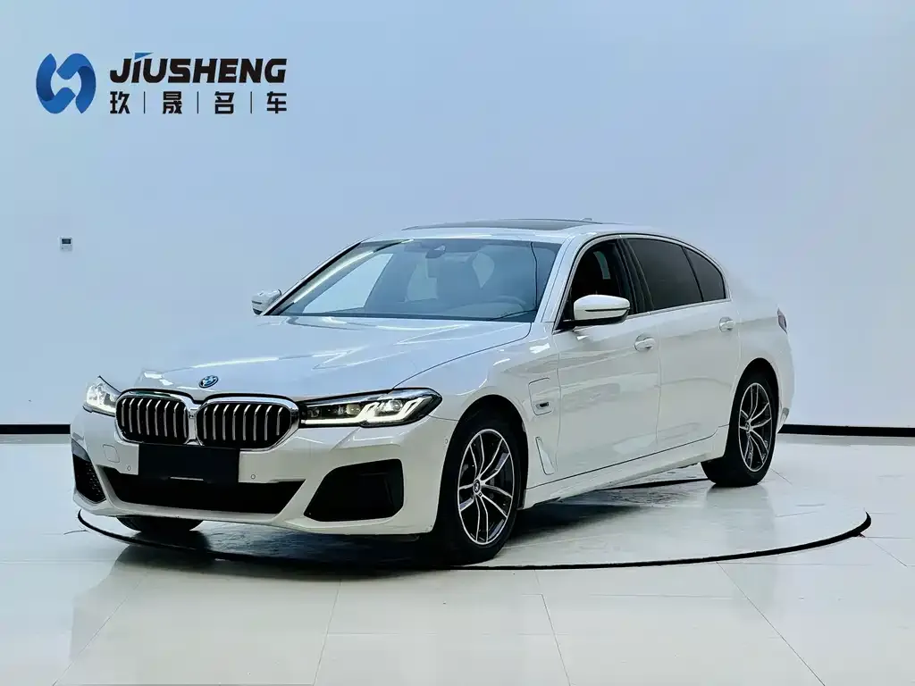 BMW 5 Series New Energy — фото 1
