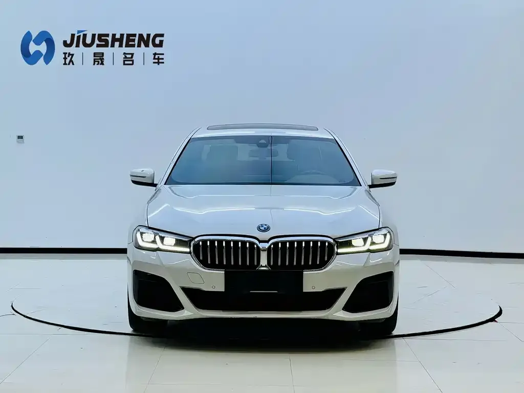 BMW 5 Series New Energy — фото 4
