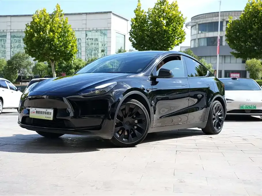 Tesla Model Y — фото 1