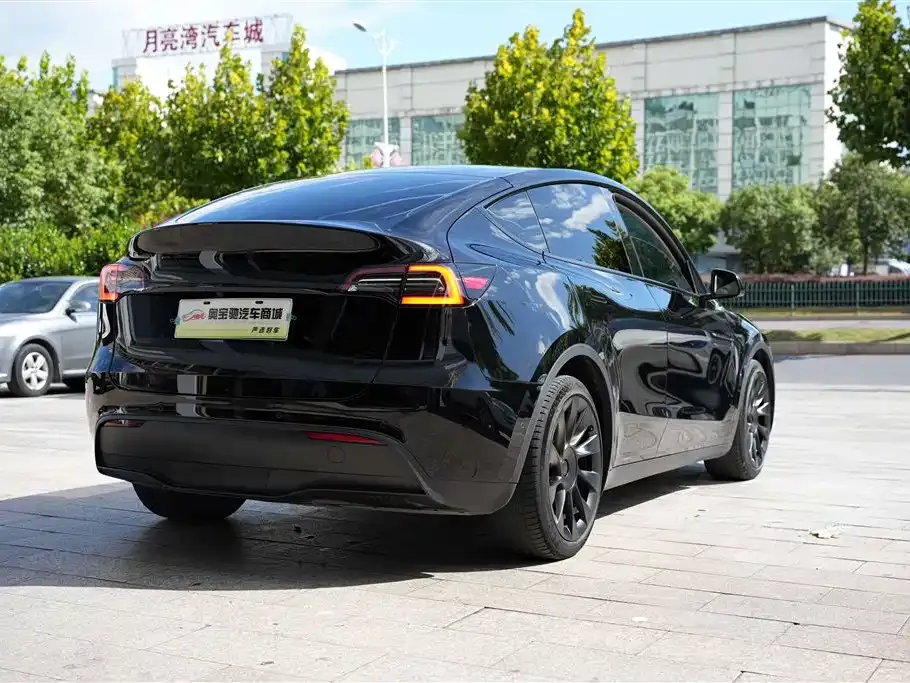 Tesla Model Y — фото 10