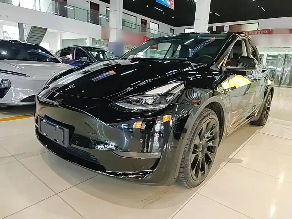 Tesla Model Y — фото 1