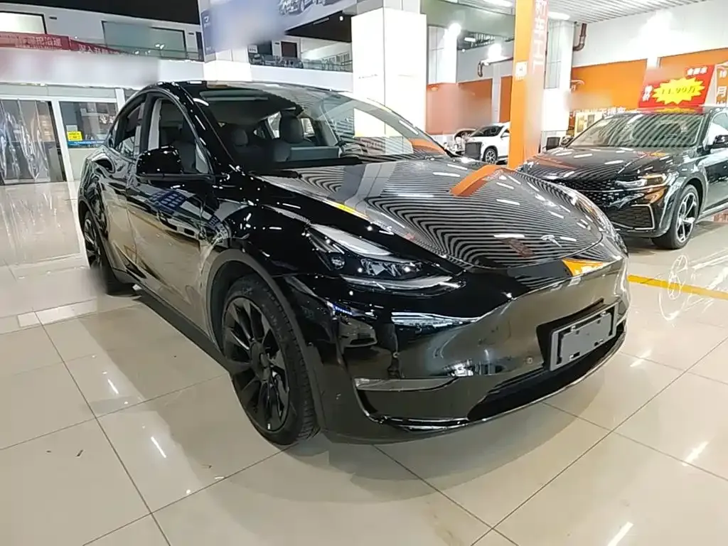 Tesla Model Y — фото 3