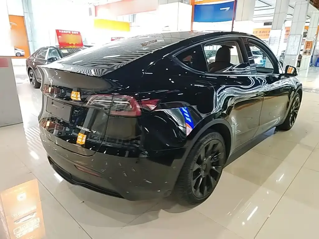 Tesla Model Y — фото 10