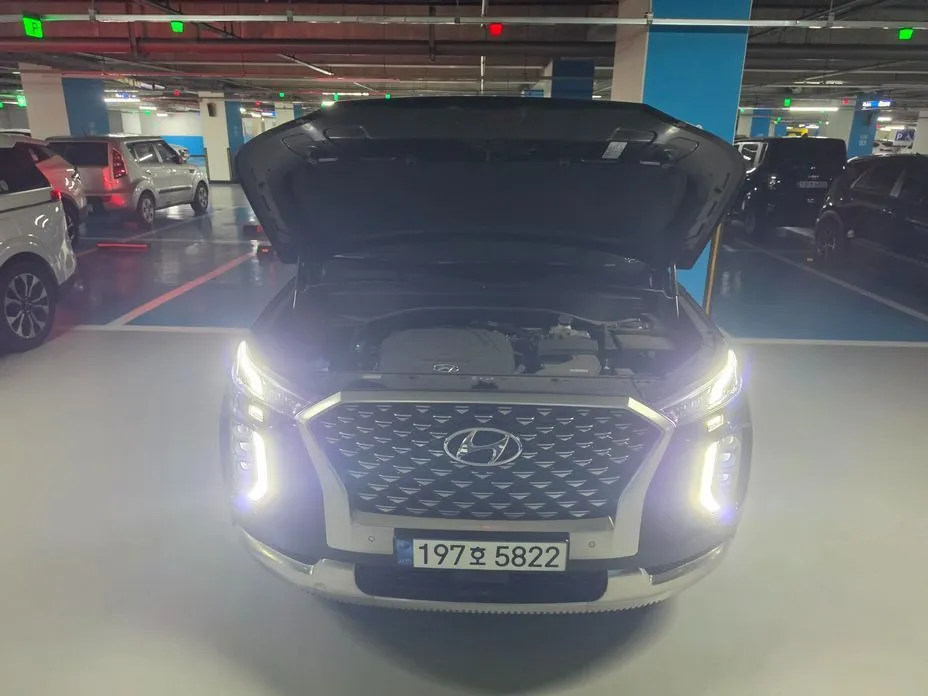 Hyundai Palisade — фото 10