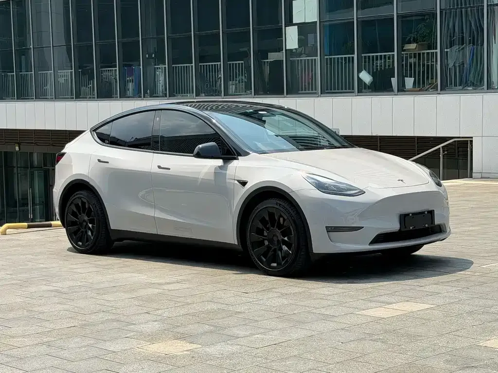 Tesla Model Y — фото 10