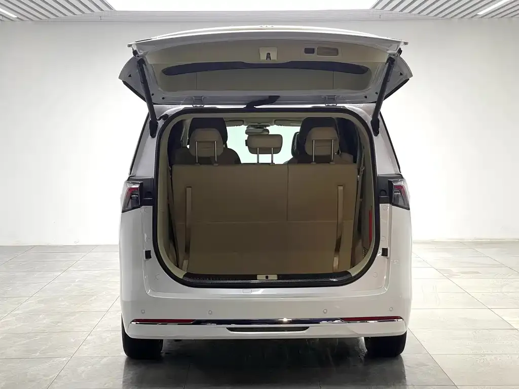 Buick GL8 Hybrid — фото 8