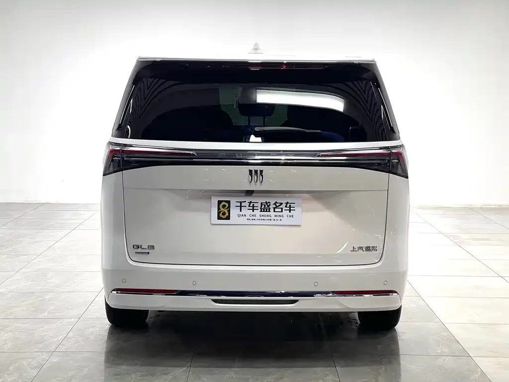 Buick GL8 Hybrid — фото 9