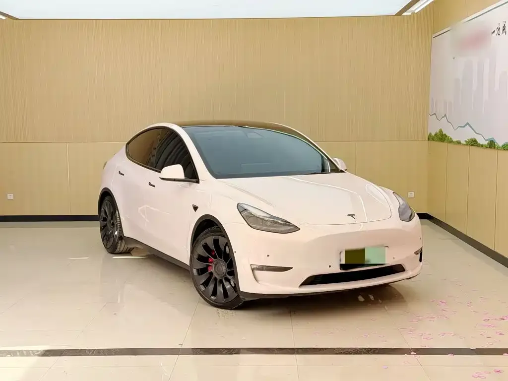 Tesla Model Y — фото 9