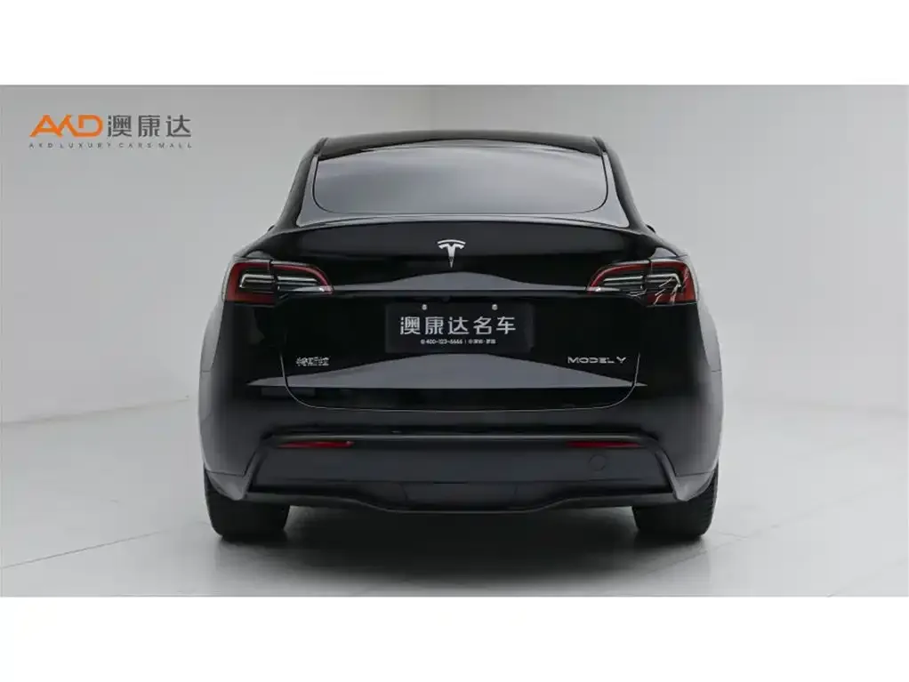 Tesla Model Y — фото 4