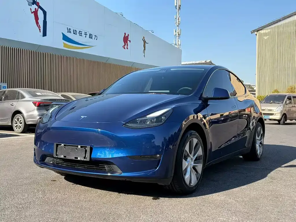 Tesla Model Y — фото 1