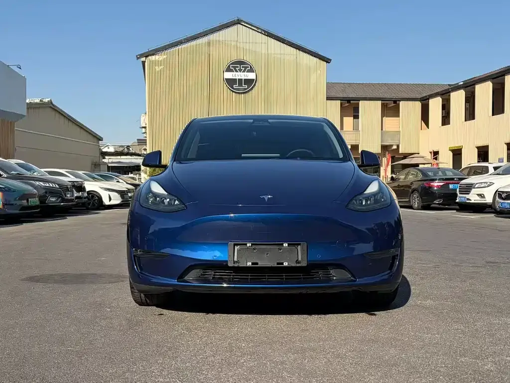 Tesla Model Y — фото 5