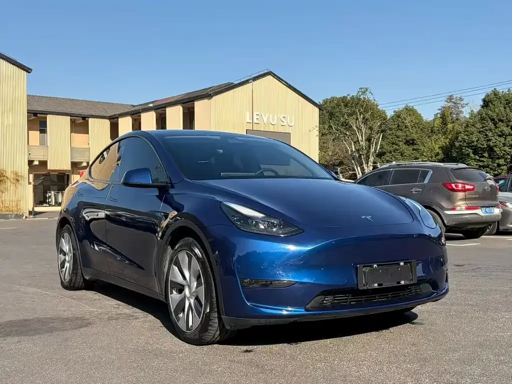 Tesla Model Y — фото 8