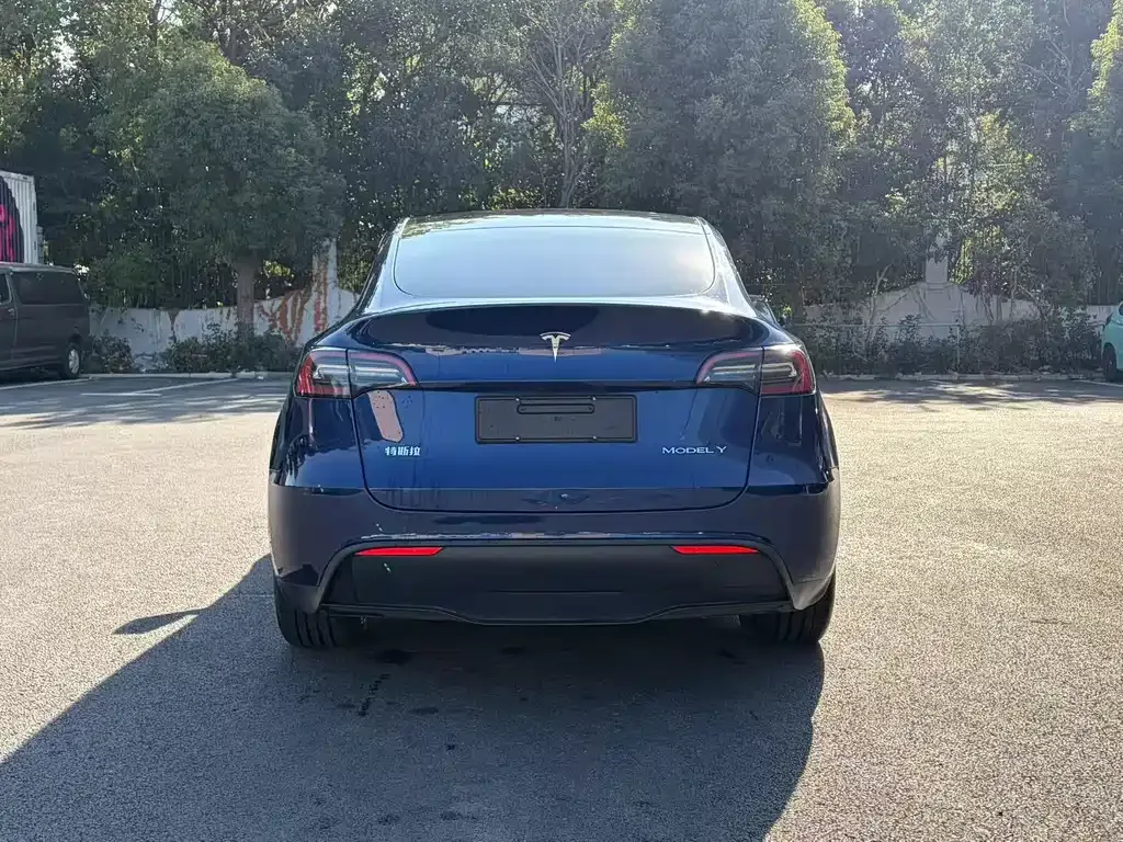 Tesla Model Y — фото 4