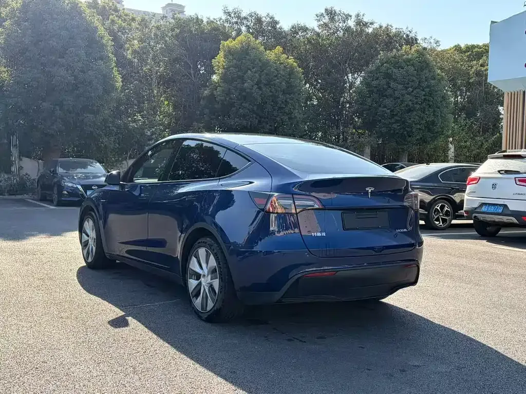Tesla Model Y — фото 2