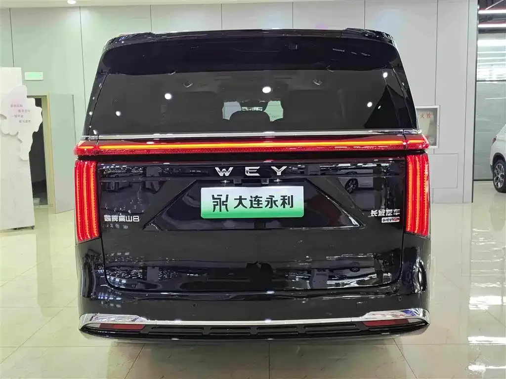 Wey 魏牌 高山新能源 — фото 4