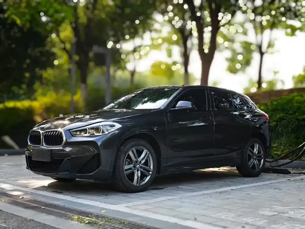 BMW X2 — фото 1