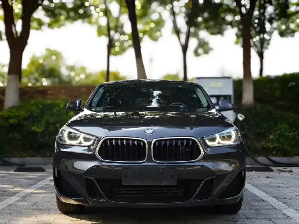 BMW X2 — фото 9