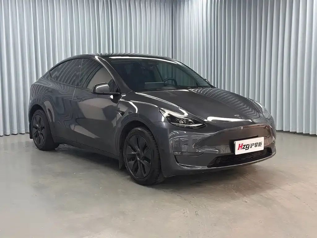 Tesla Model Y — фото 5