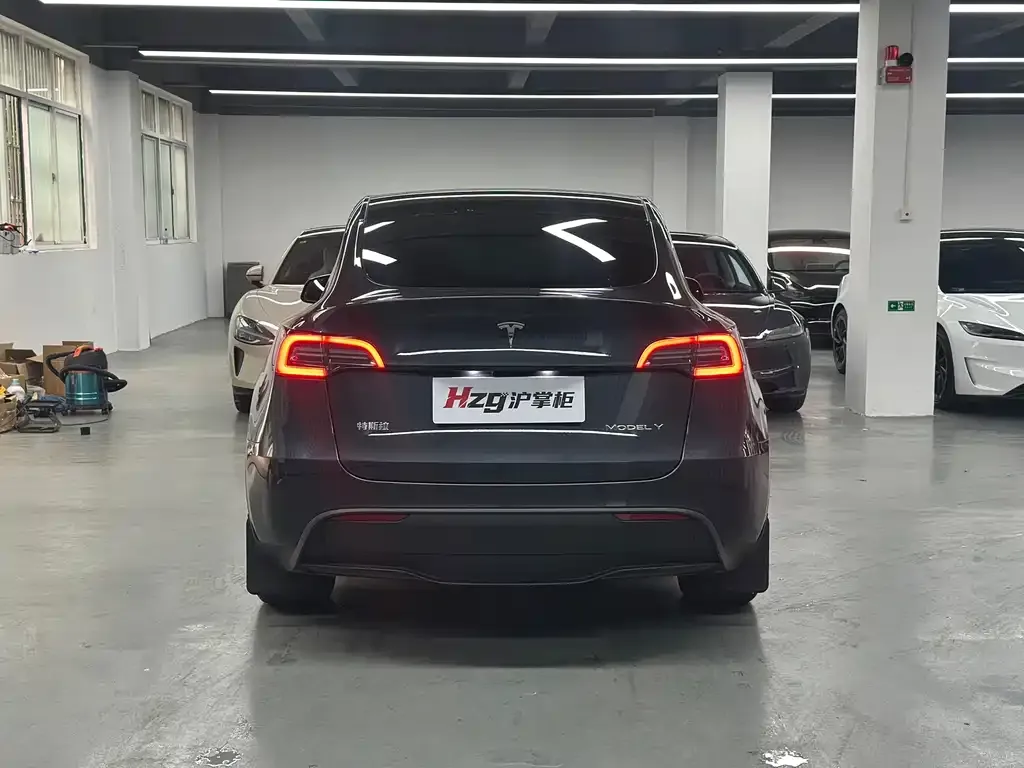Tesla Model Y — фото 8
