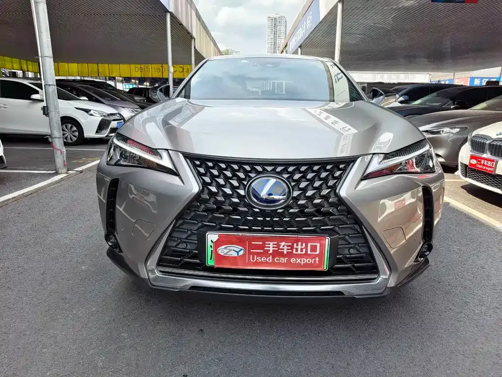 Lexus UX New Energy — фото 10