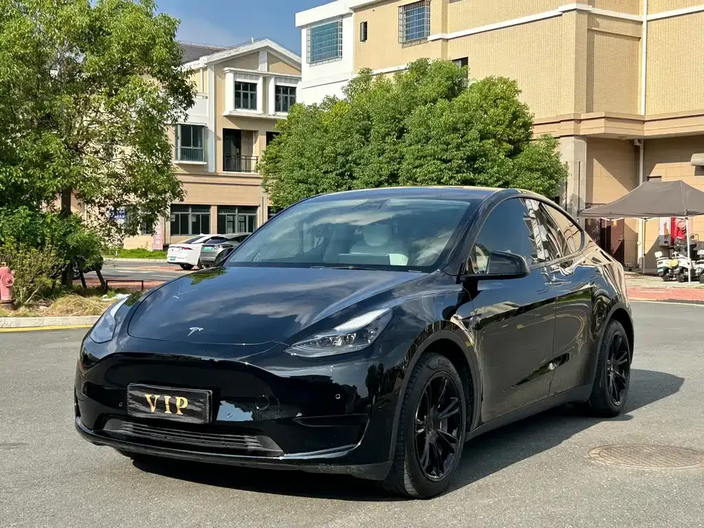 Tesla Model Y — фото 1