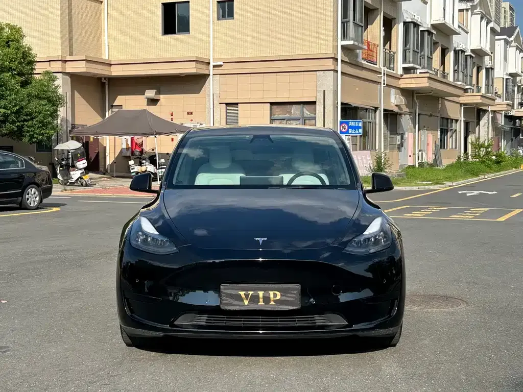 Tesla Model Y — фото 9