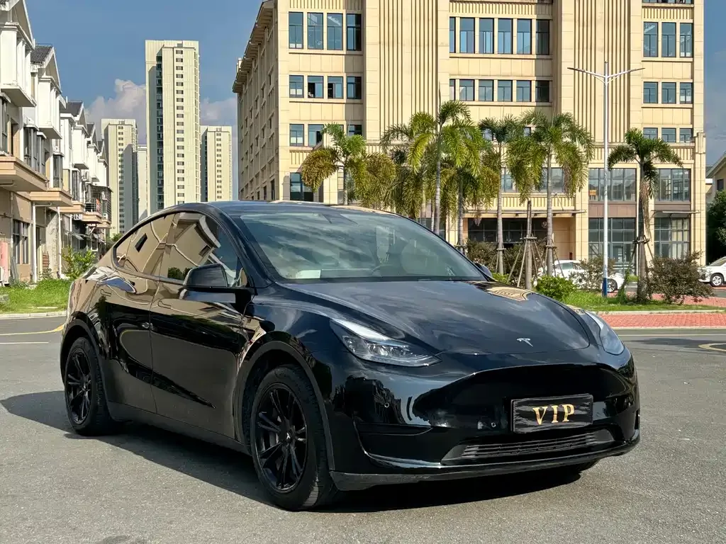 Tesla Model Y — фото 8