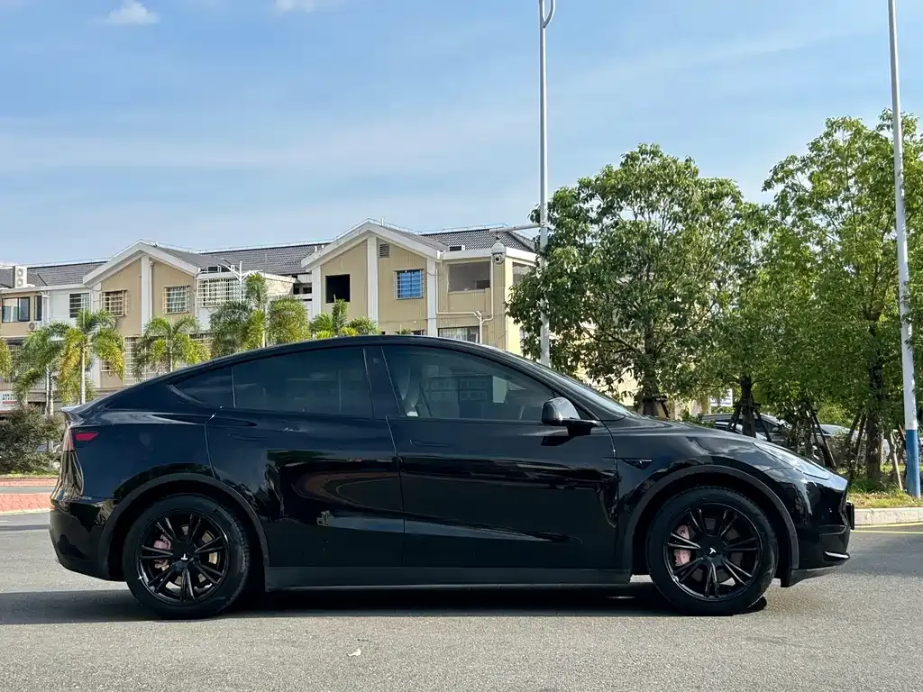 Tesla Model Y — фото 6