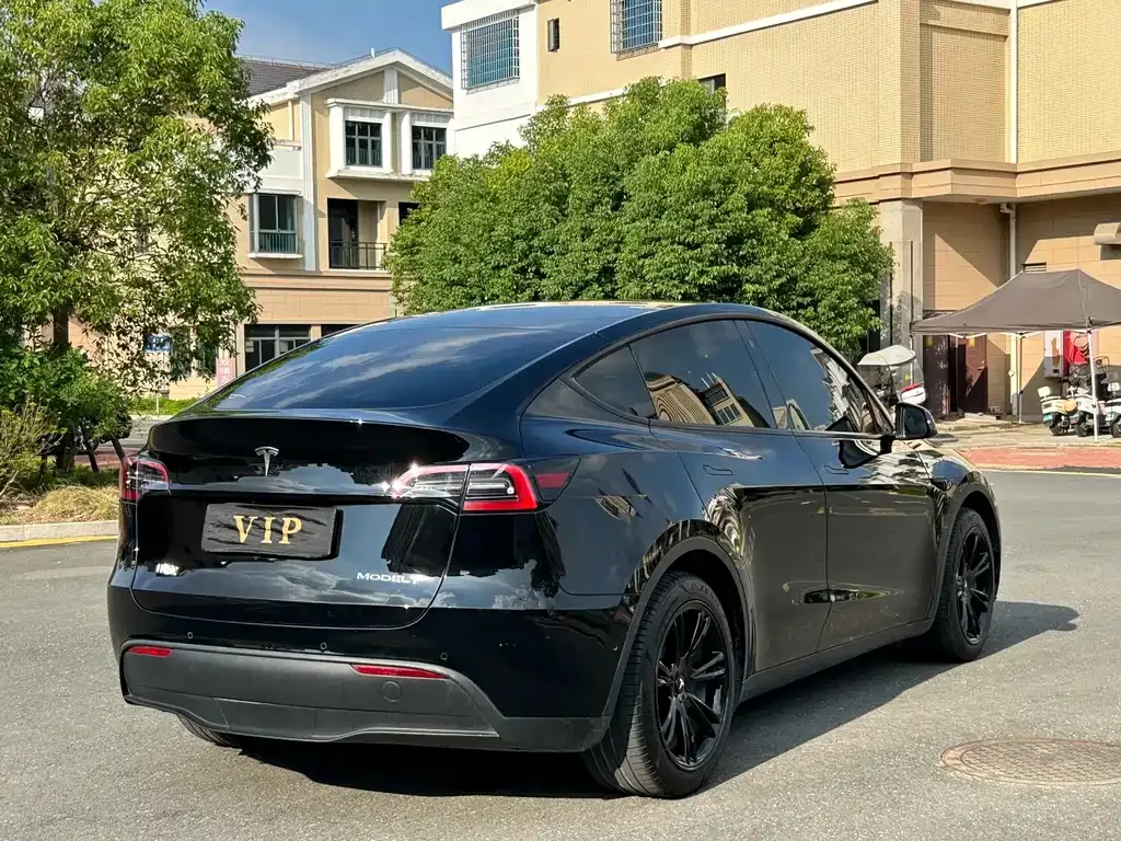 Tesla Model Y — фото 2