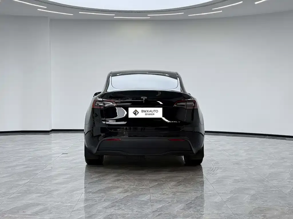 Tesla Model Y — фото 5