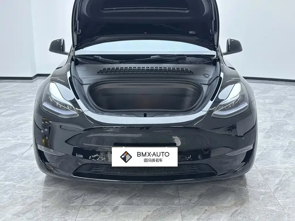 Tesla Model Y — фото 8