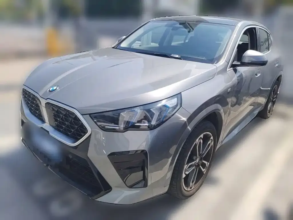 BMW X2 (Import) — фото 1