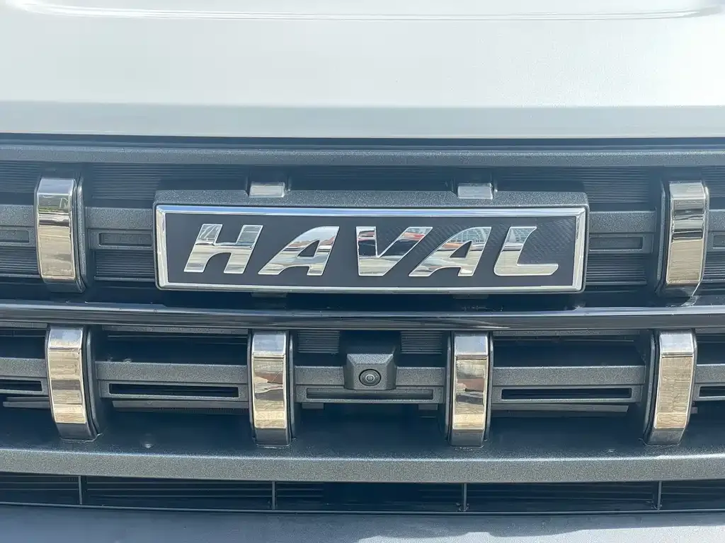 Haval Cool Dog — фото 4