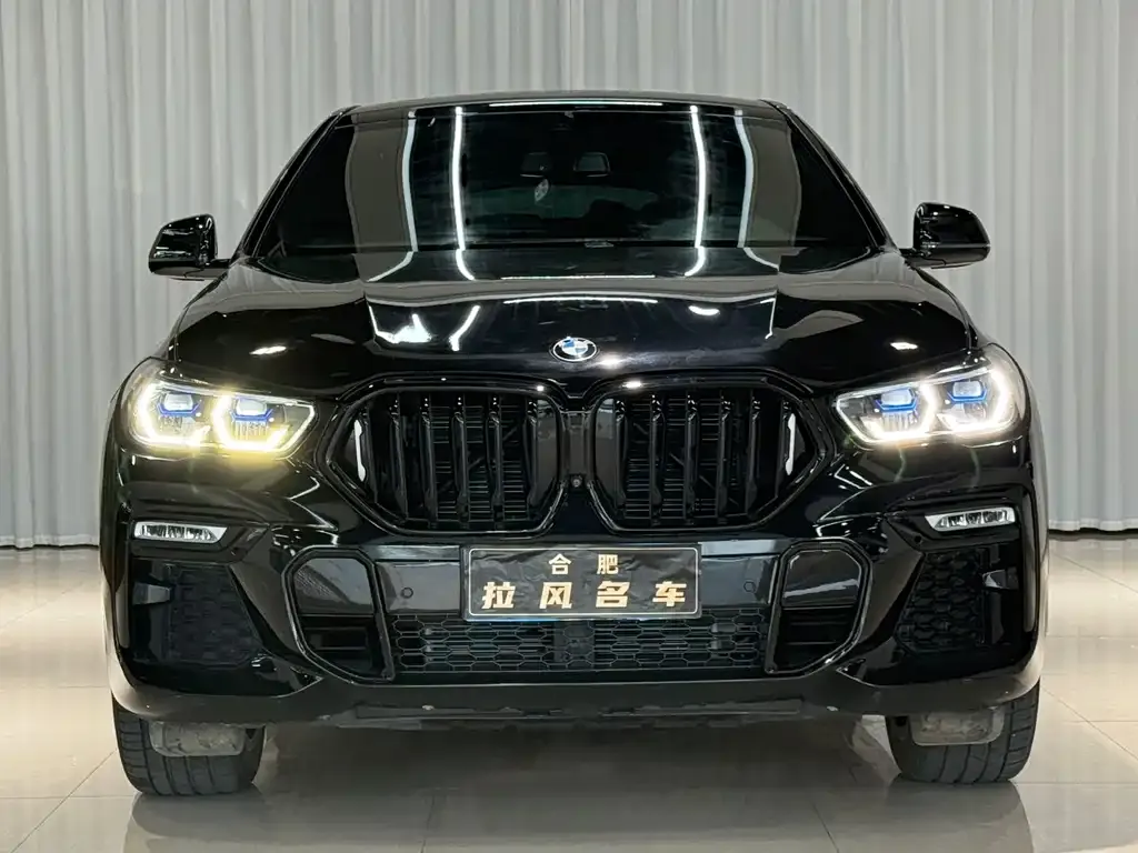 BMW X6 — фото 5