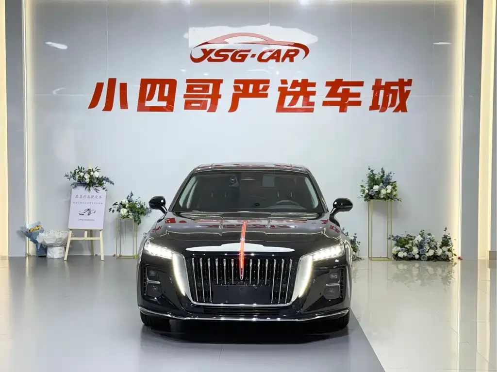 Hongqi H5 — фото 10