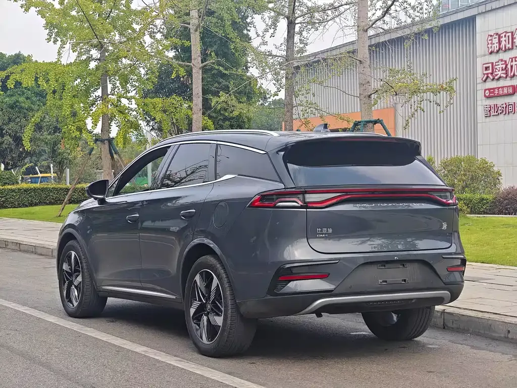 BYD Tang New Energy — фото 10