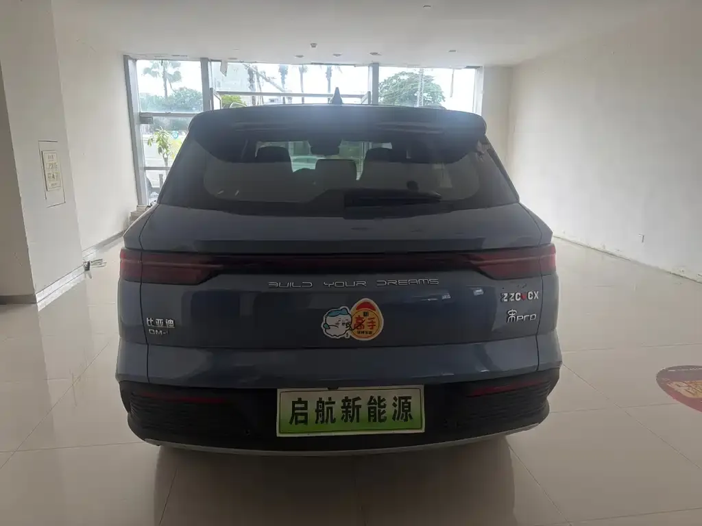 BYD Pro New Energy — фото 9